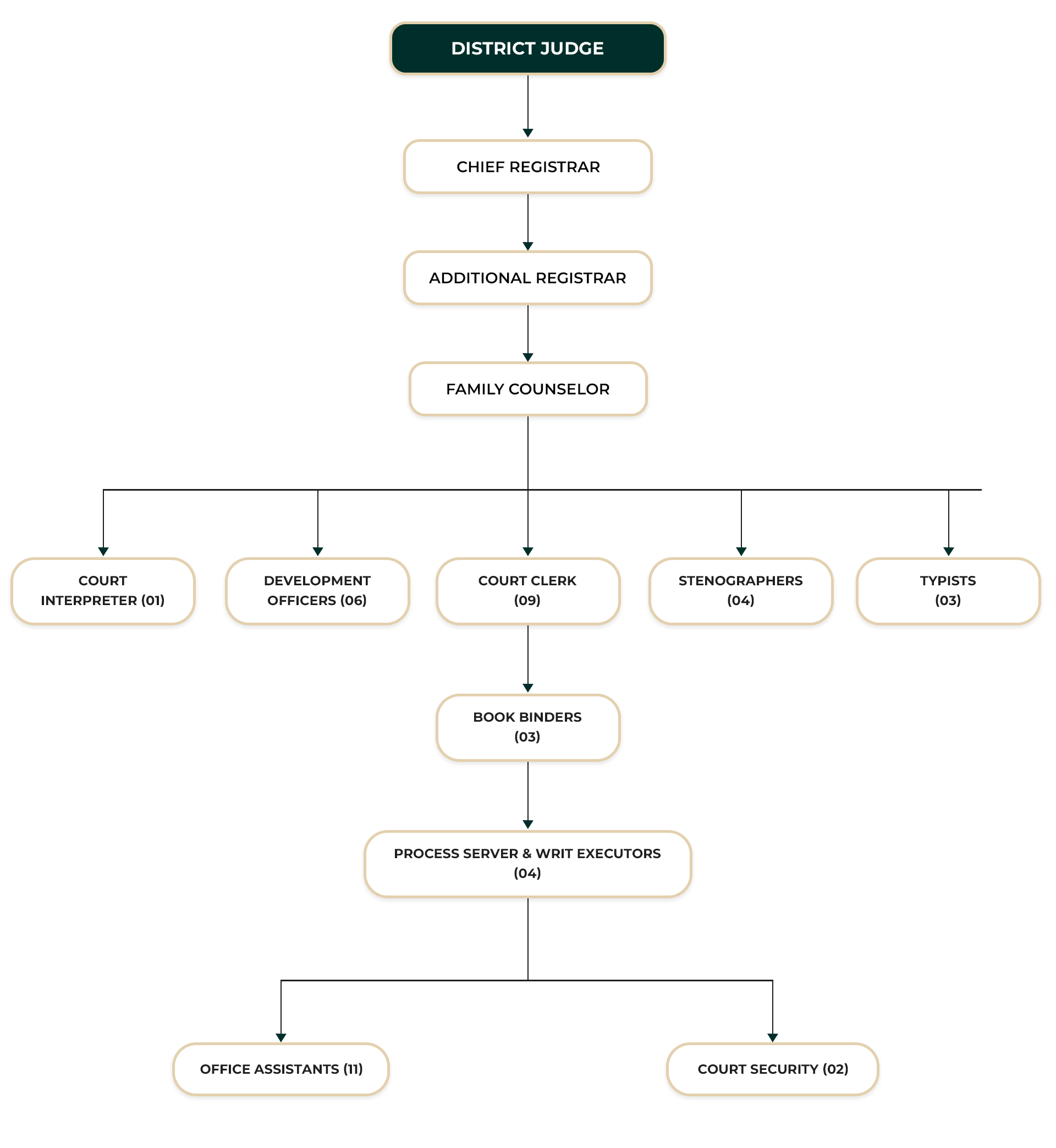 District Court Wariyapola ORGANIZATIONAL STRUCTURE